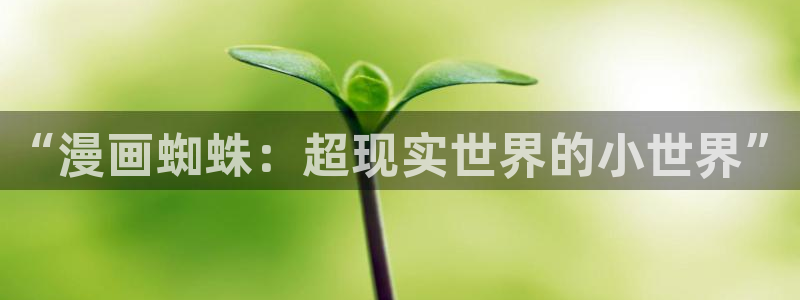 漫漫漫画网站